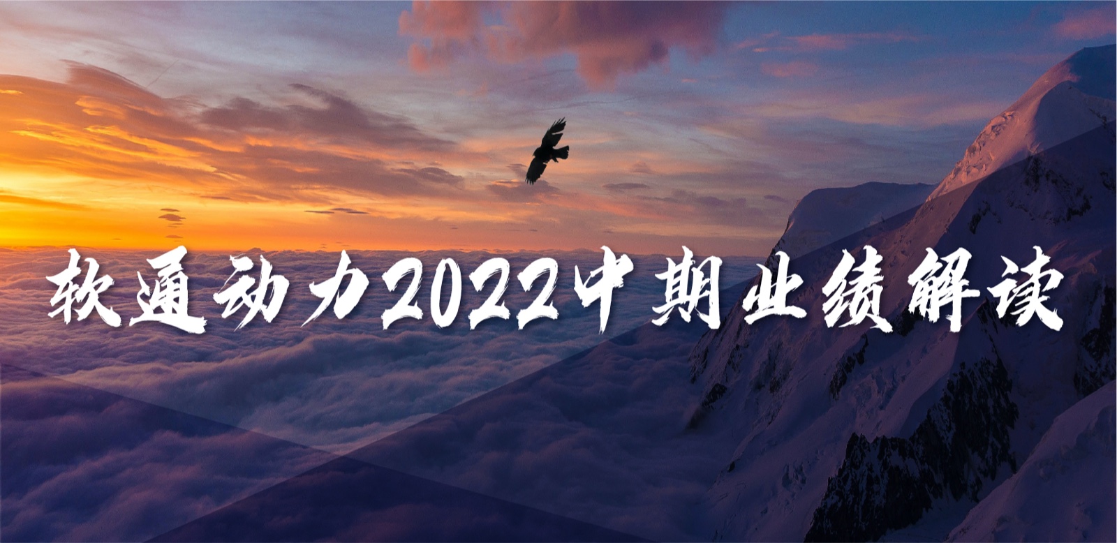 FH¼202022ҵʵΪӪȹһŻӪҵṹ