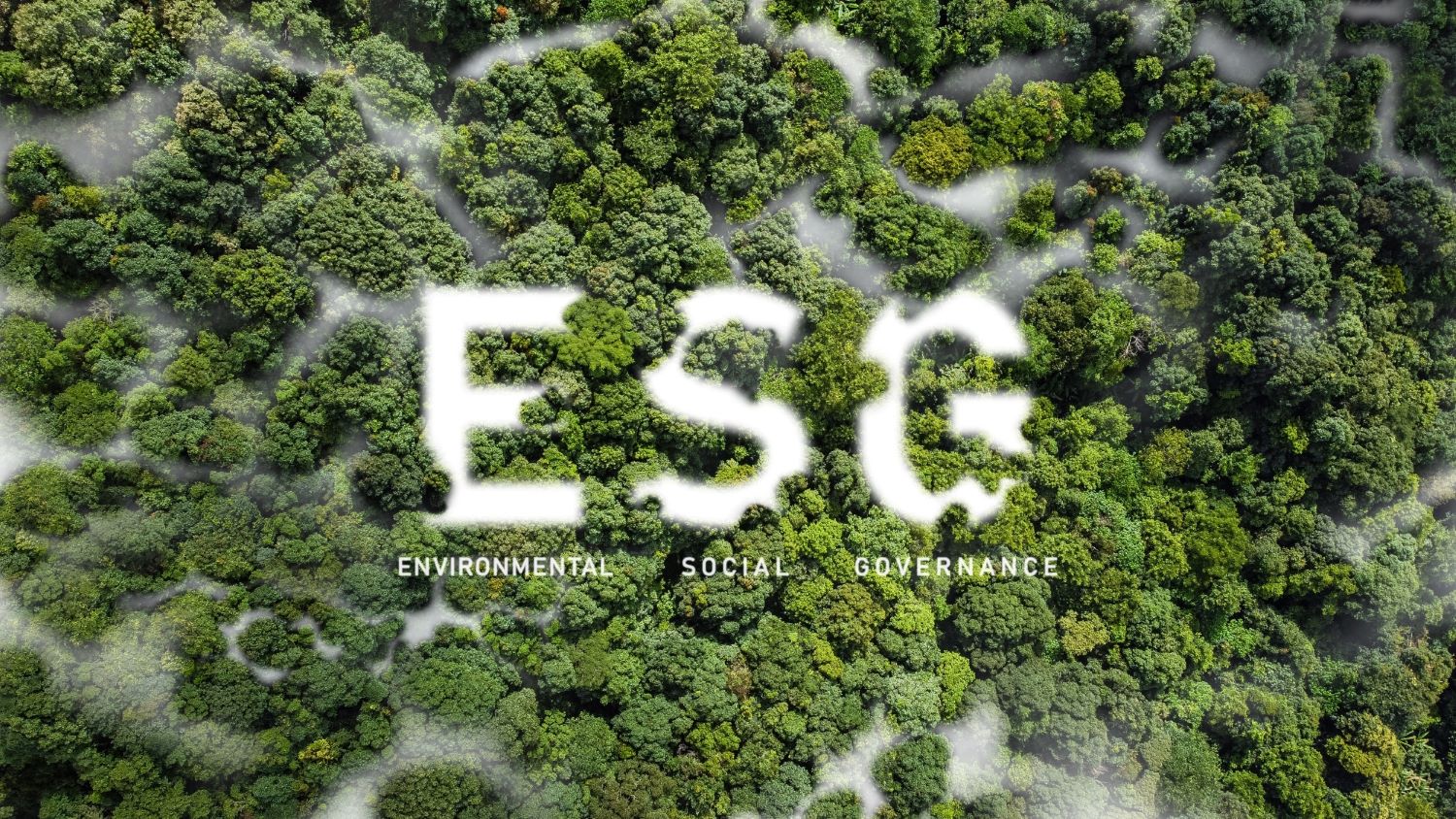 FH¼20ESGȫWind ESGٻAAһȾҵһ